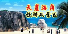 老外大鸡巴操中国小姐视频大全海南三亚-天崖海角旅游风景区